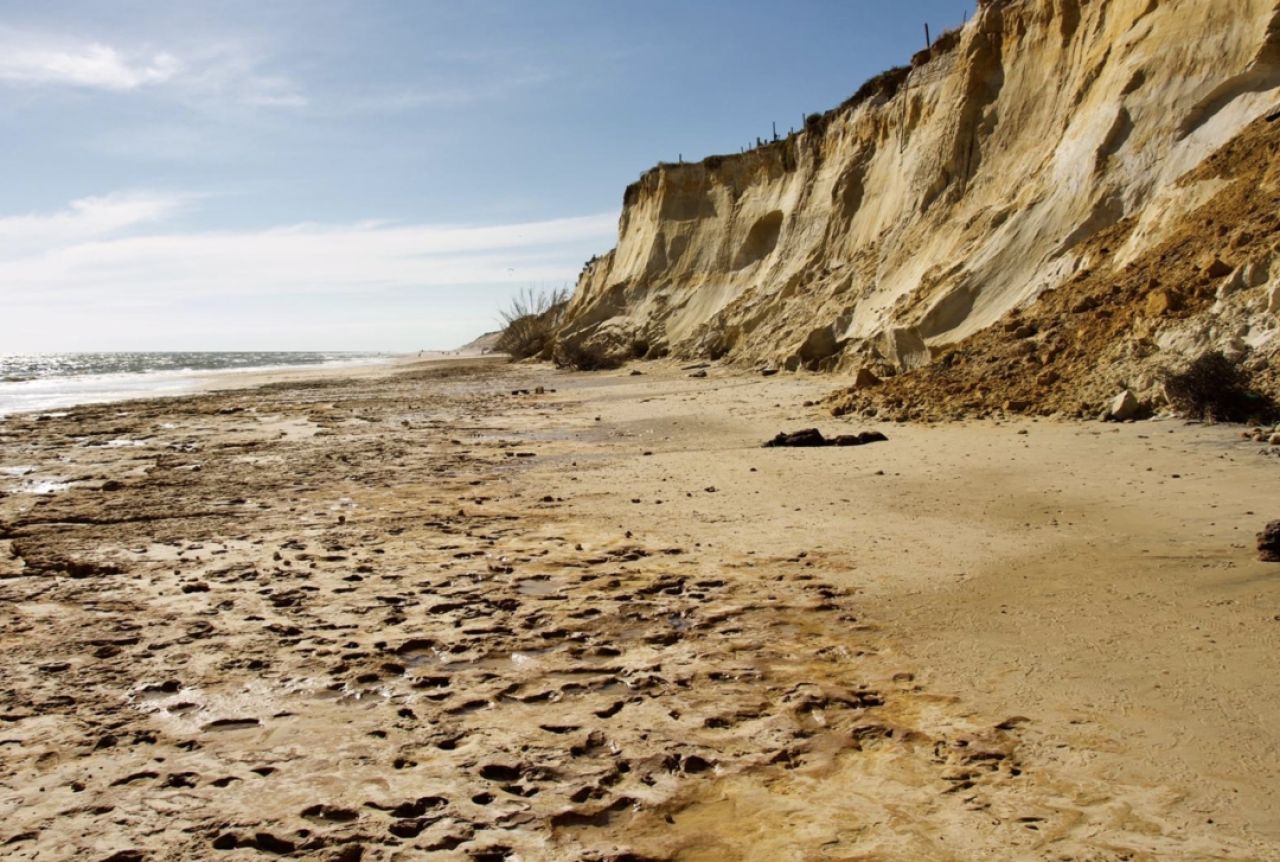 Gibraltar National Museum Scientists Collaborate On Major Palaeontological Discovery