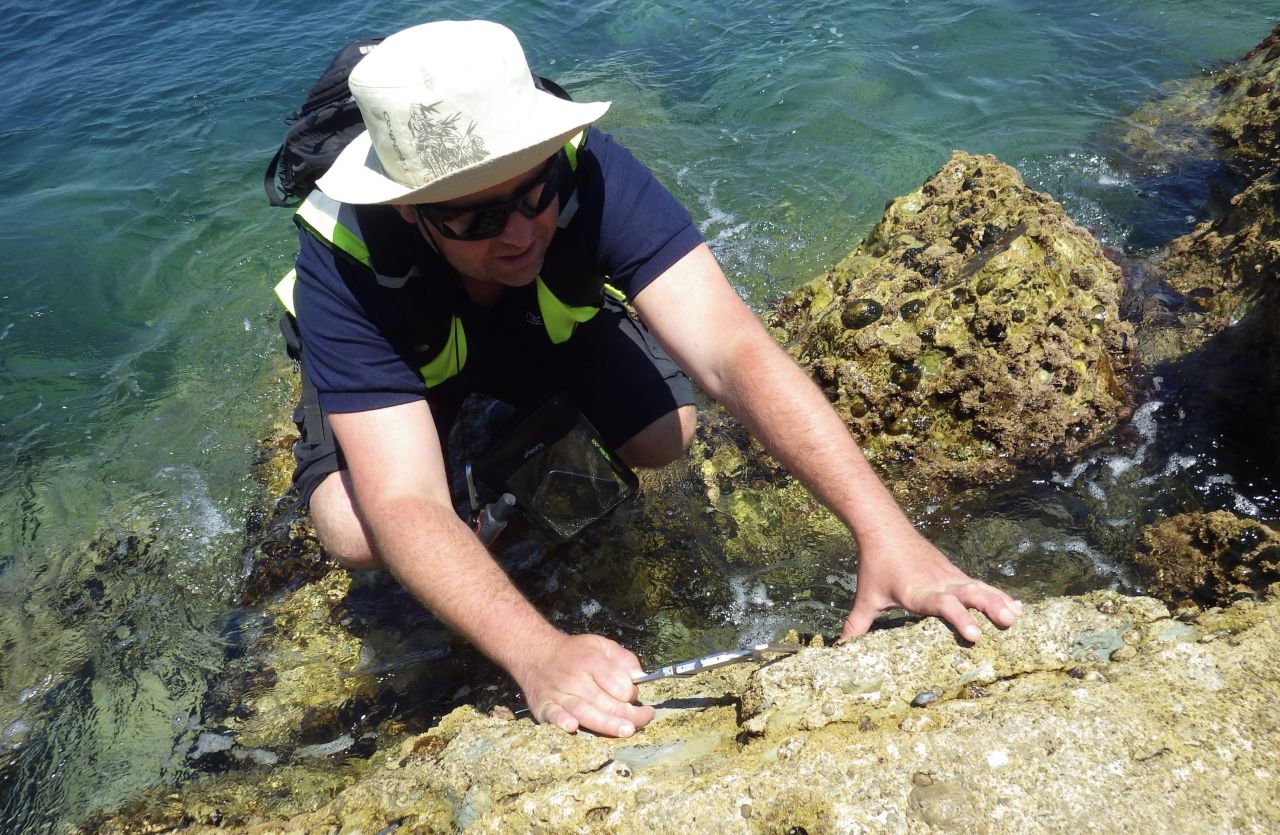 Marine Strategy Framework Directive: Updated Monitoring Programme For BGTW