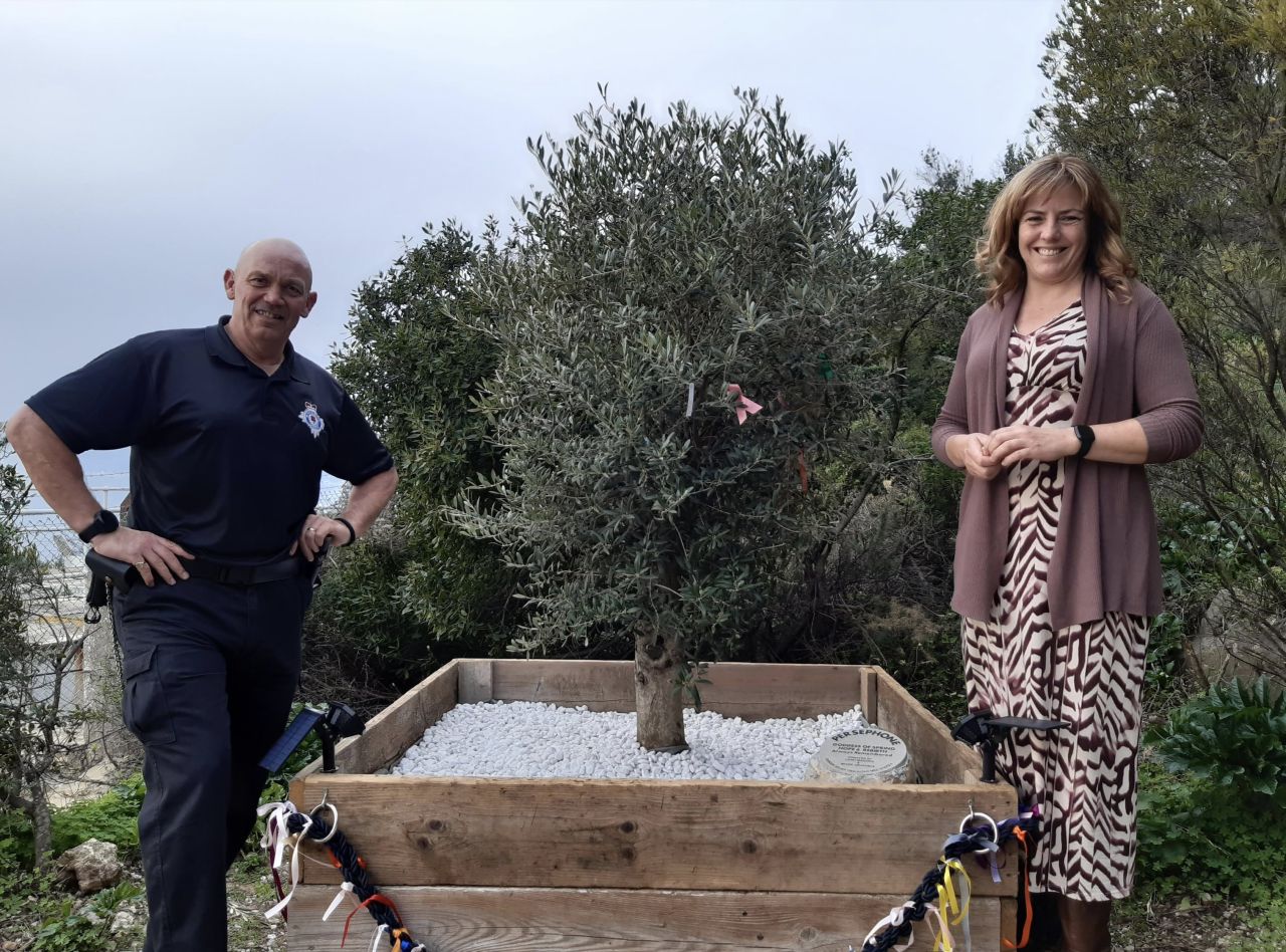 Med Steps Challenge Team Unveil Tree Of Hope