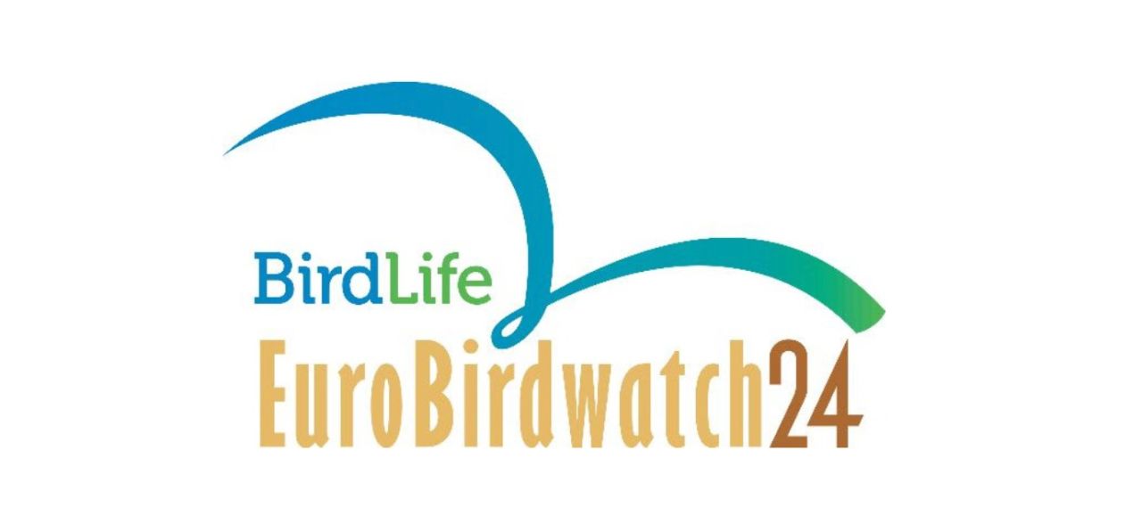 GONHS To Host Activities Celebrating EuroBirdwatch 2024