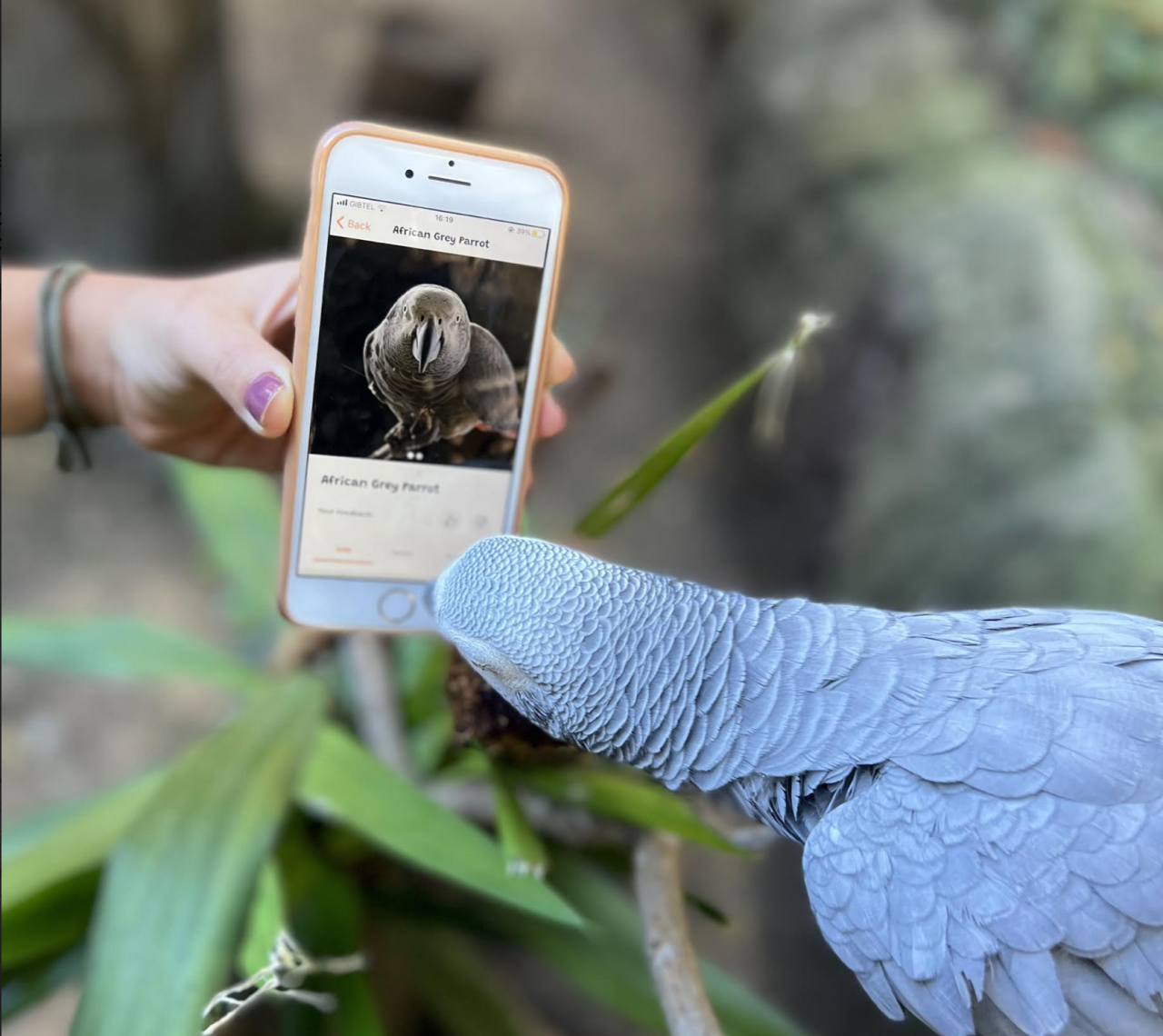 UK Tech Company Helps Gibraltar Zoo Promote Its Big Message
