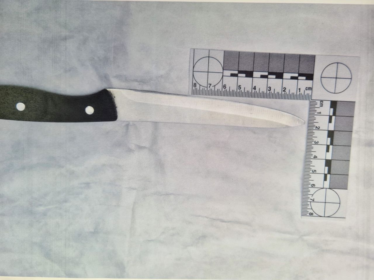 Teenager Sentenced After Two Attempted Robberies