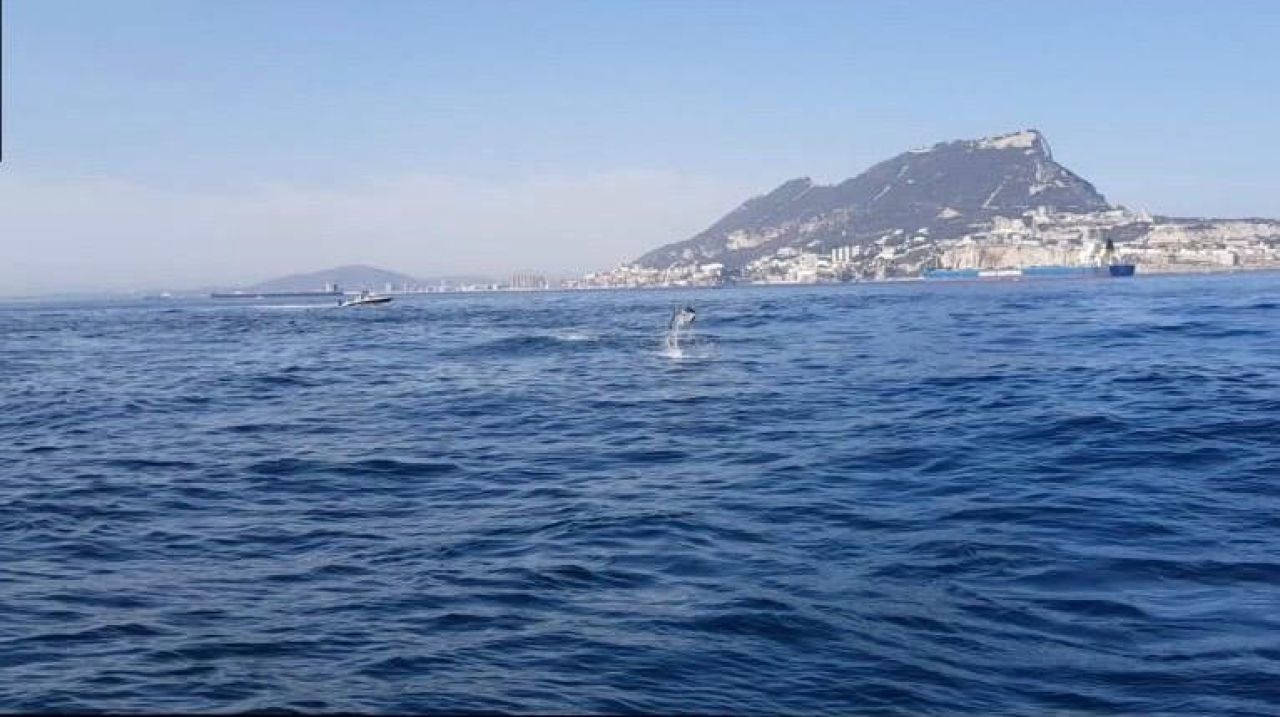 Three Moroccan Nationals On Kayak Arrested For Immigration Offences