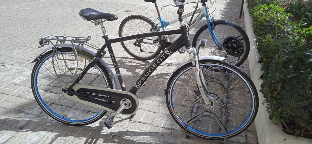 RGP Stolen Bicycle Appeal