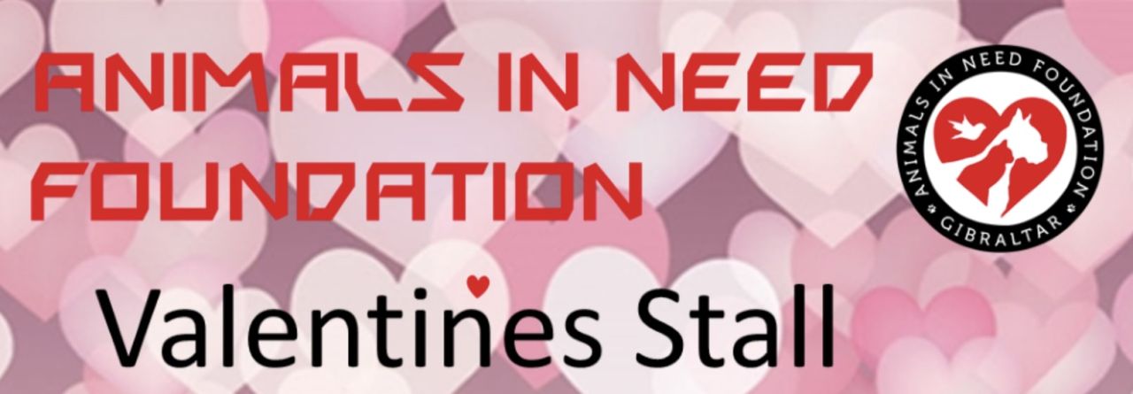 Animals in Need Foundation Valentines Quiz