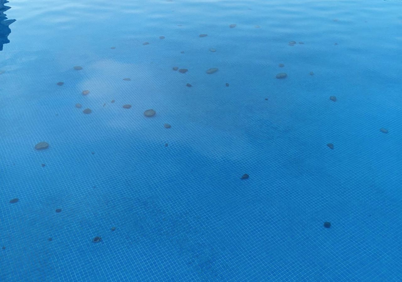 Temporary Closure of Small Pools at Camp Bay and Little Bay Due to Vandalism 