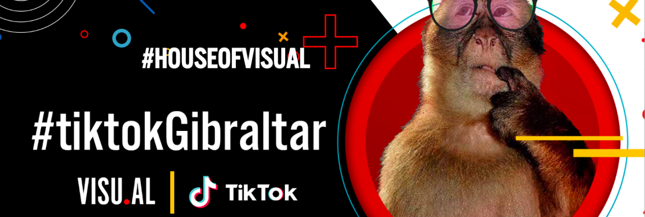 VISU.AL Agency Partners With Local Brands To Give Prizes Through Fun TikTok Social Media Challenges