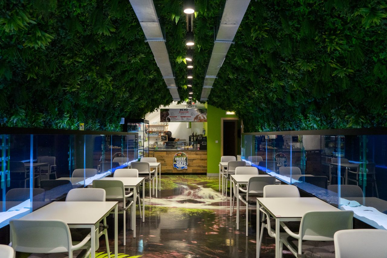 The Reef Rainforest Café - A Unique Venue