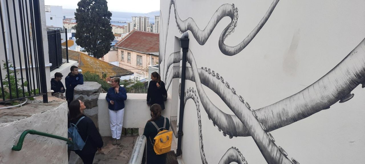 Street Art Walk And Gallery Tours