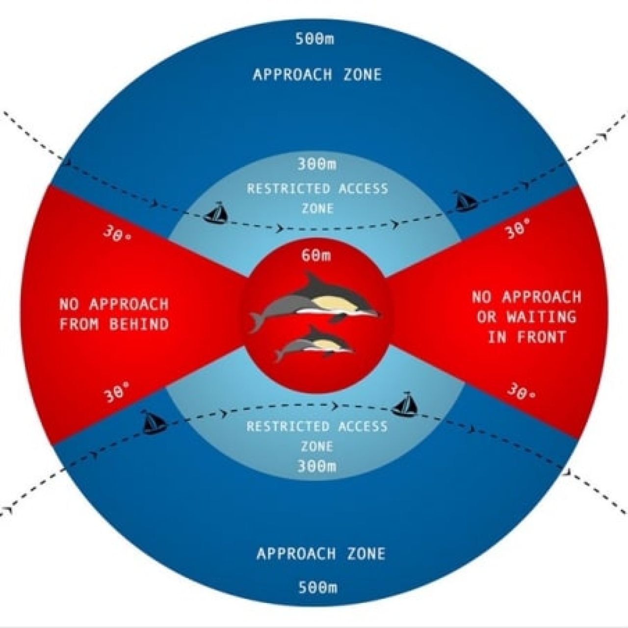 Cetacean Protocol