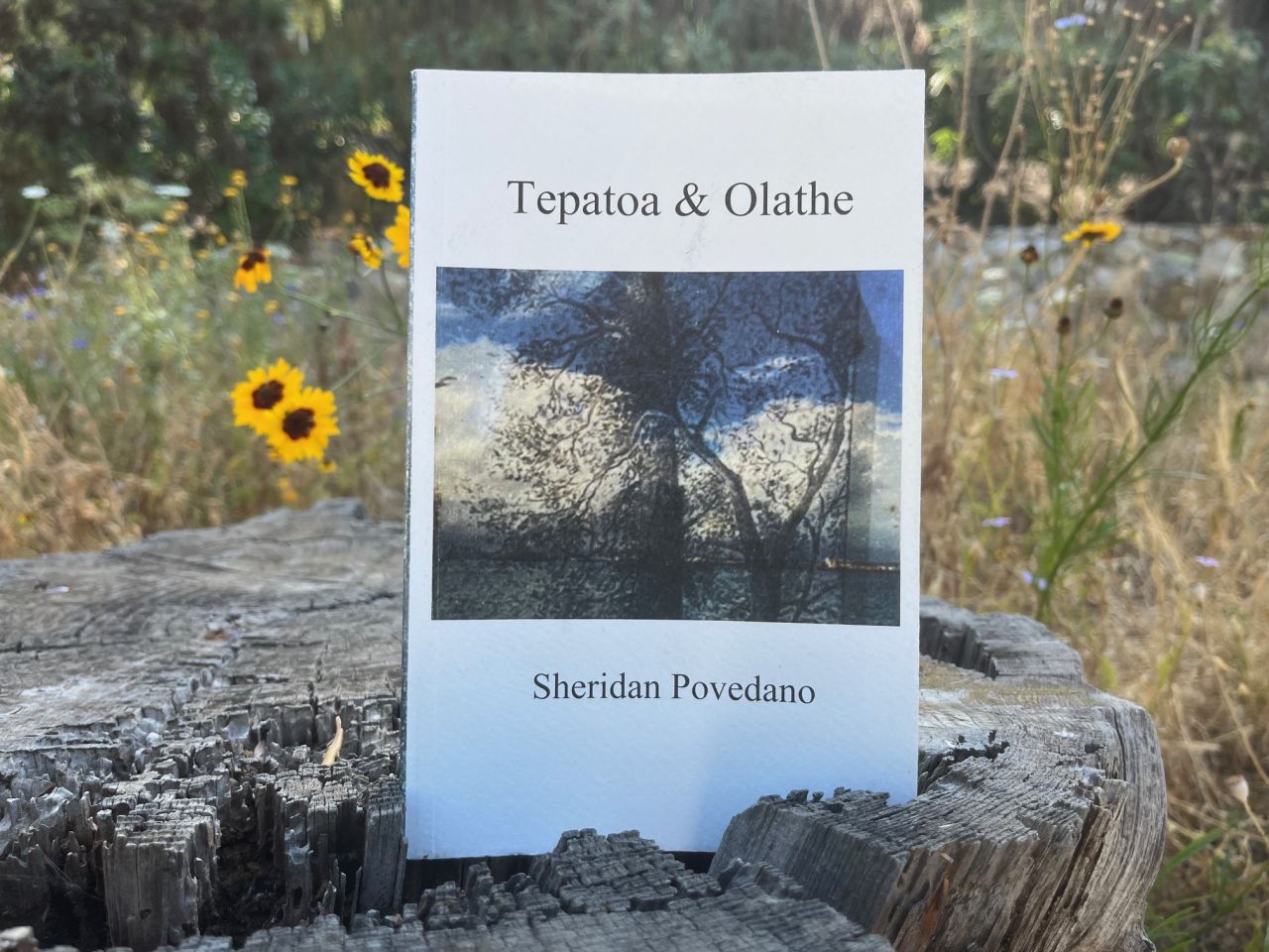 Book Review: Tepatoa & Olathe by Sheridan Povedano