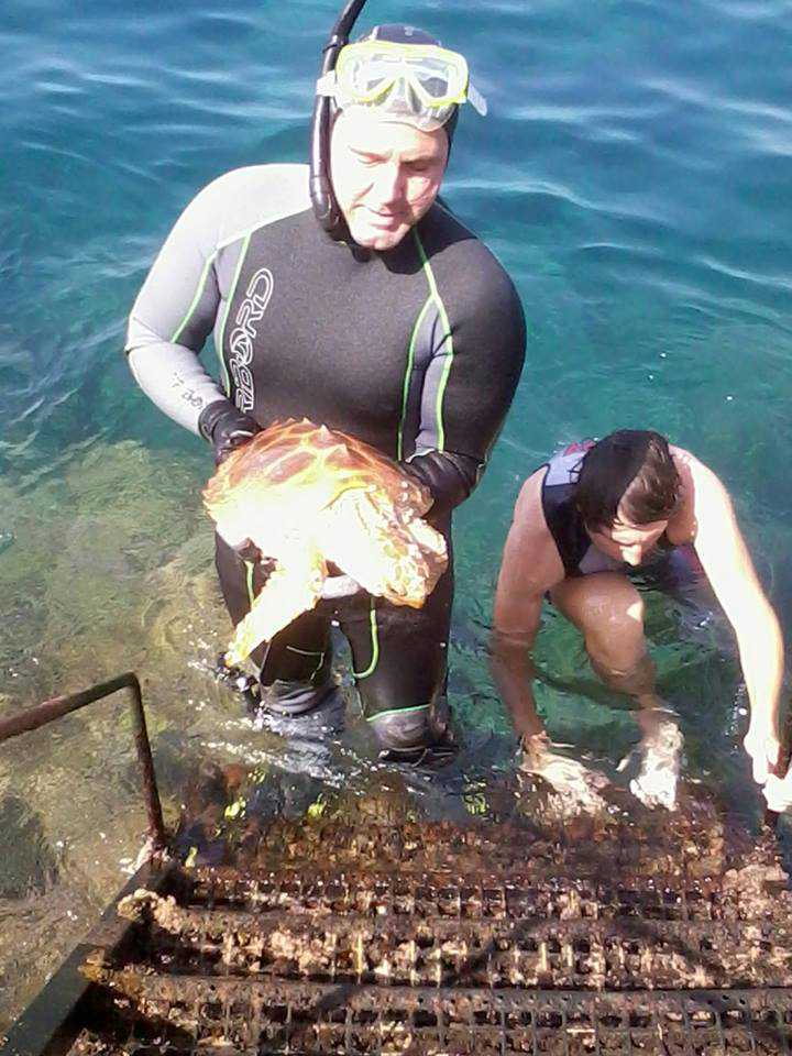 Gibraltar diver rescues turtle - named 