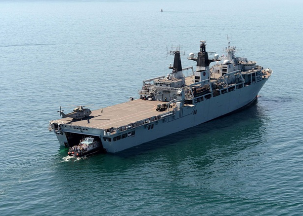 cougar 14 