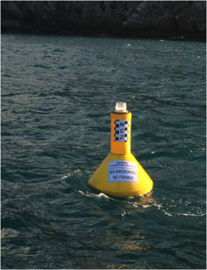 Mar 03 - Gibraltar's First Marine Conservation Zone Takes Shape - Your