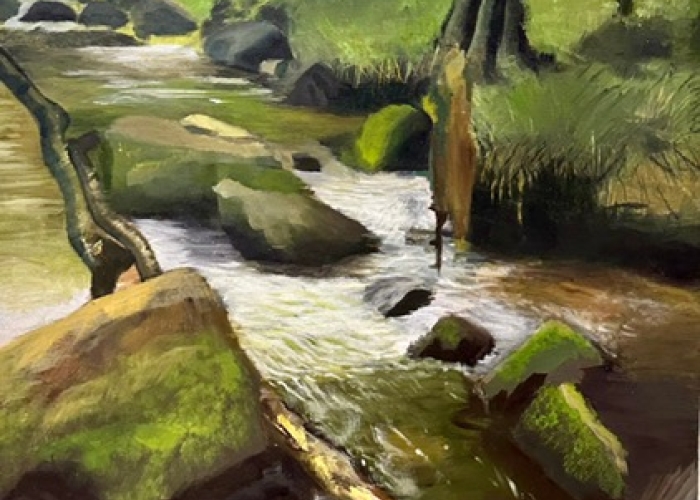 GIBSP2023 Annalise Cisarego Cascades Onto River Fowey Cornwall