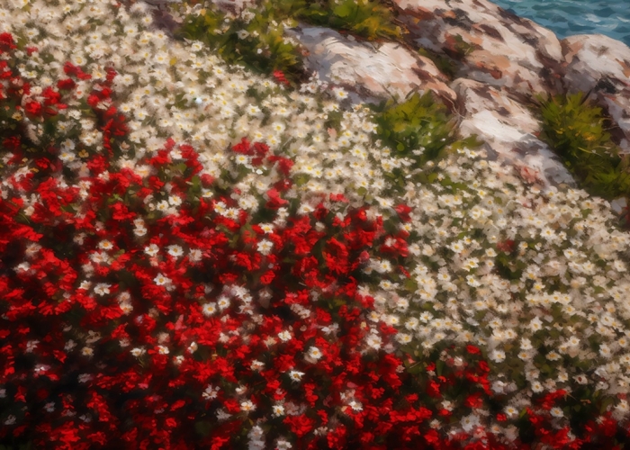 GIBSP2023 Sophee Selbee Flowers On Gibraltar