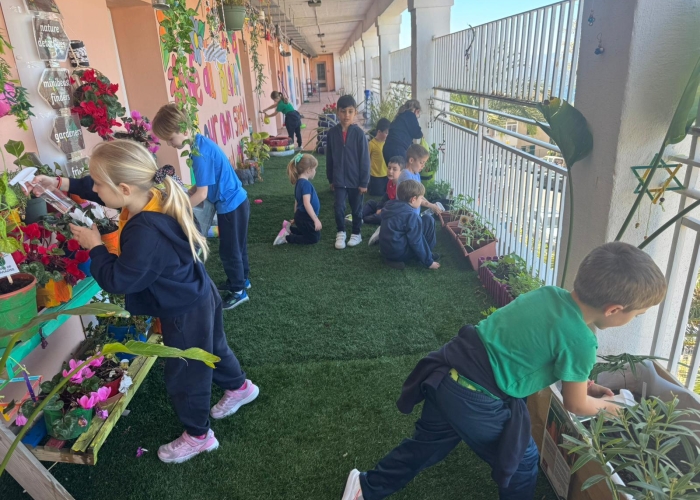 Flowershowstjoseph4