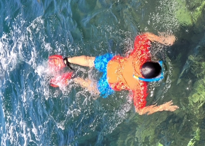 Nautproj6