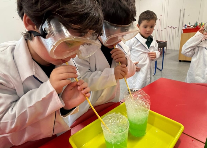 Scienceschoool4