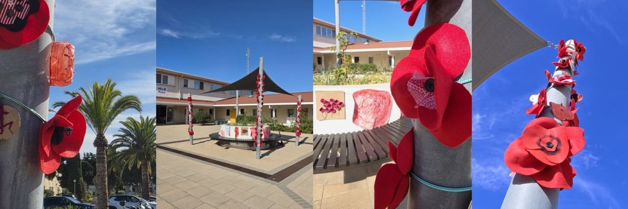 Display Of Poppies Brings The Community Together