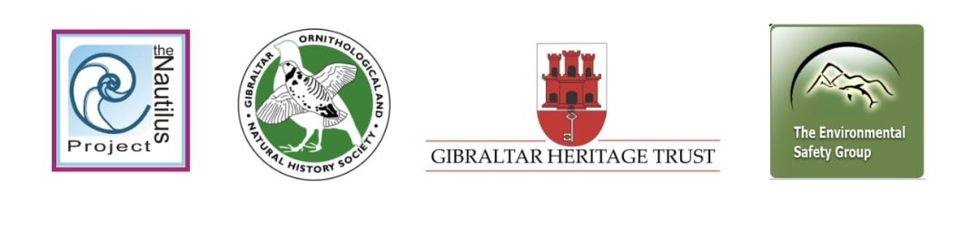 GONHS, ESG, Gibraltar Heritage Trust And Nautilus Project React To Rosia Bay Tender