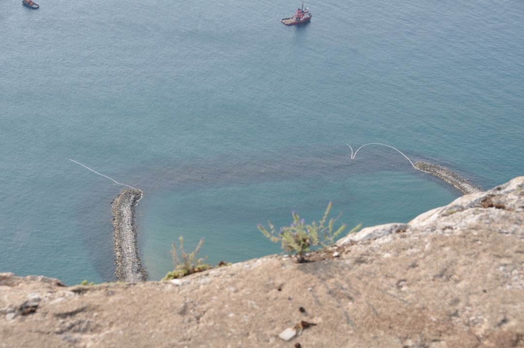 Paddlers Urged To Respect Delicate Beach Booms