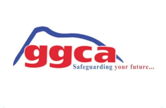 GGCA Meets With Minister For Health