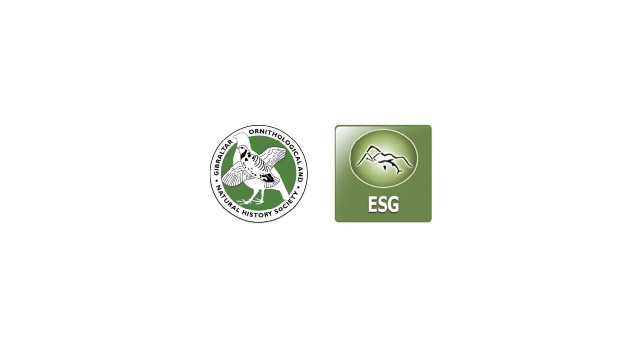 ESG And GONHS Raise Concerns Over Bluefin Tuna Fishing Season