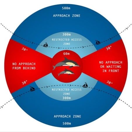 Cetacean Protocol