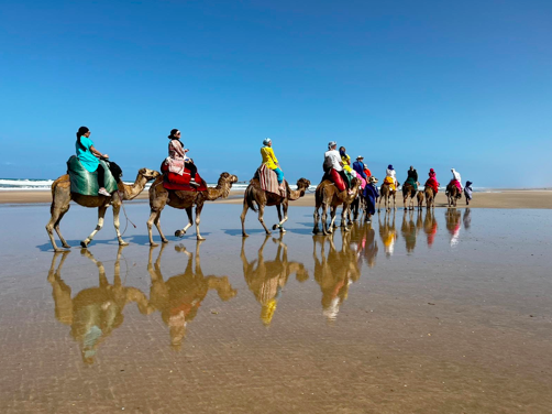 Strait of Gibraltar Association Hold Camel Trek Charity Event