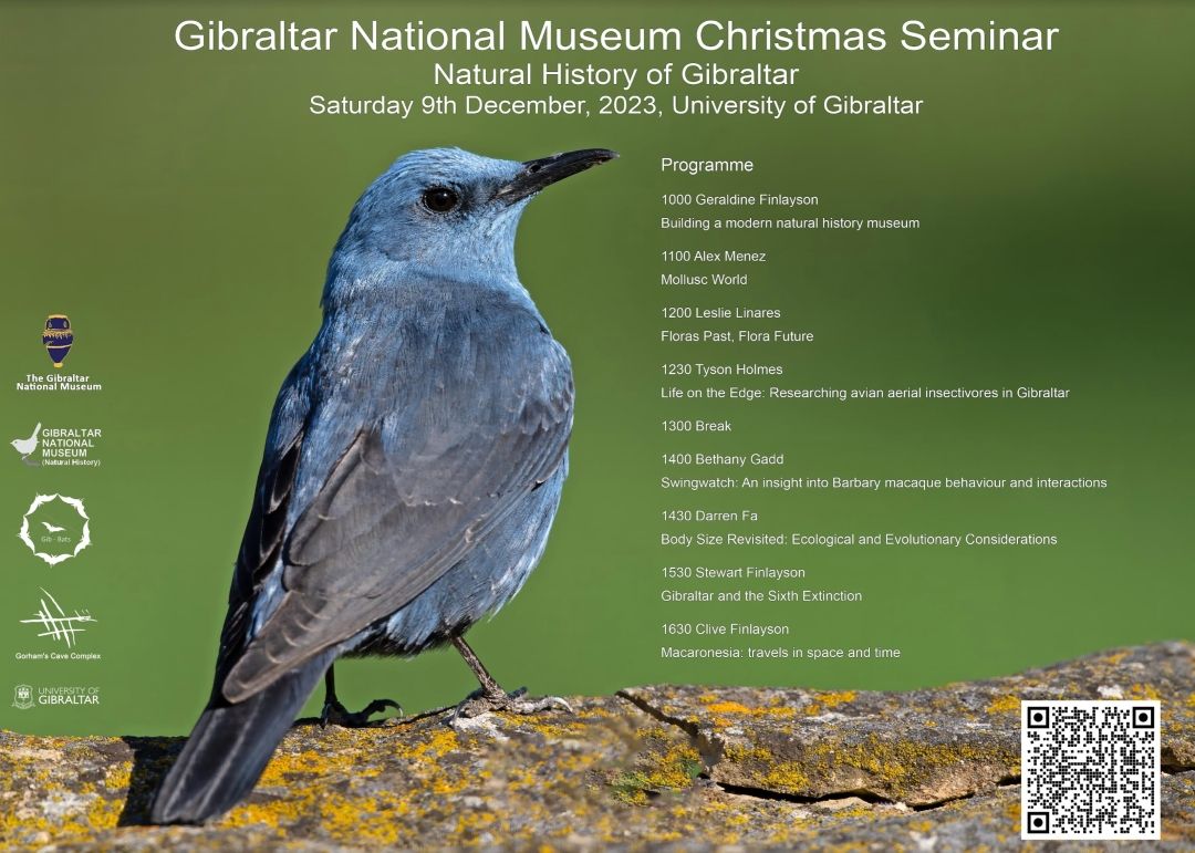 Museum Christmas Seminar