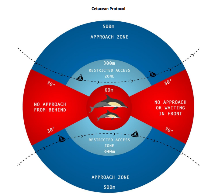 Department Of Environment Reminder Cetacean Protocol
