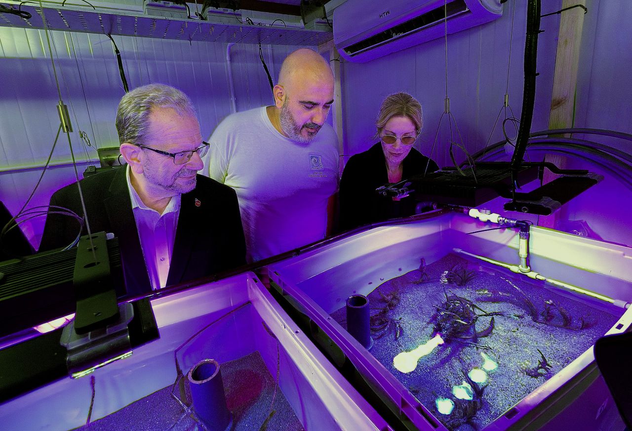 Minister Cortes Visits Nautilus Seagrass Nursery 