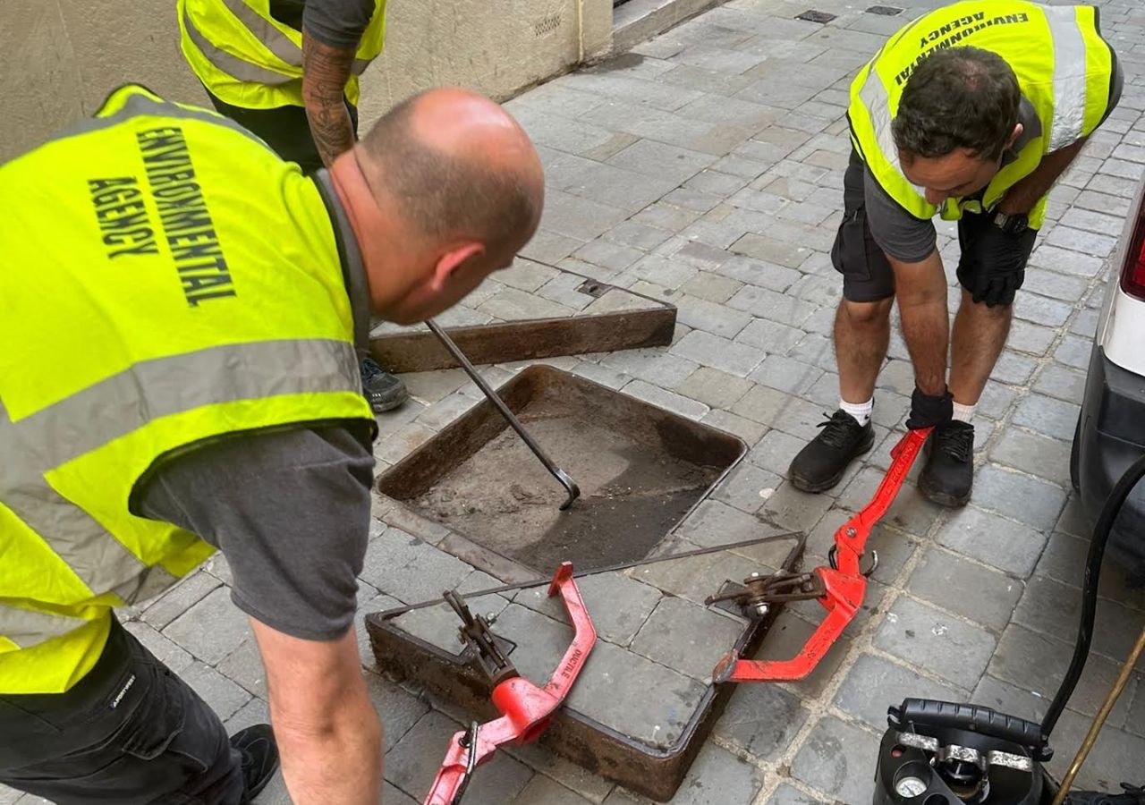 Environmental Agency Completes City Centre Rodent-Control Cycle