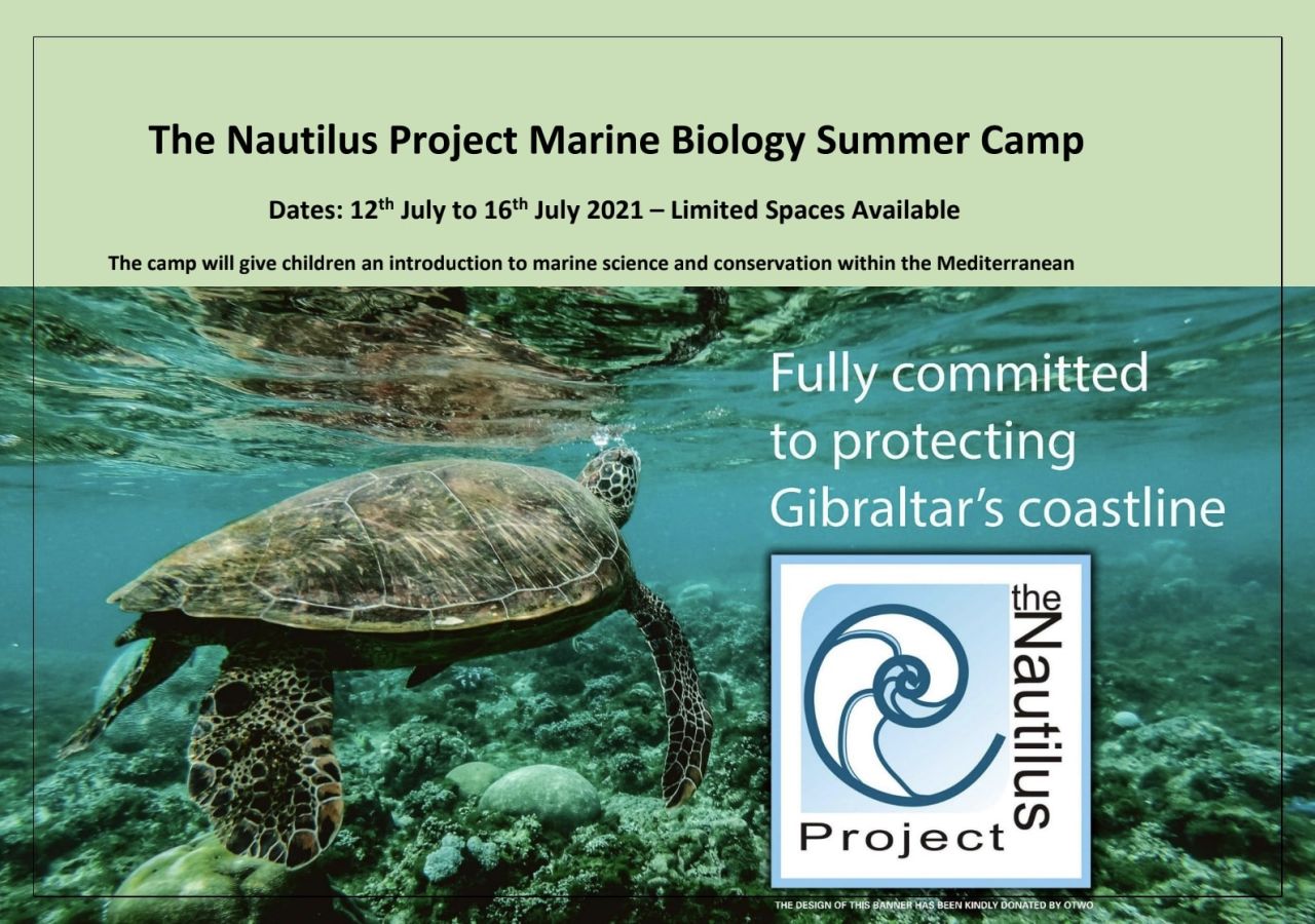 Marine Biology Kids Summer Camp 2021