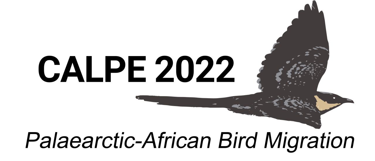 Calpe ’22 Focuses On Fifty Years After The Publication Of A Landmark Book On The Migration Of Birds Between Europe And Africa