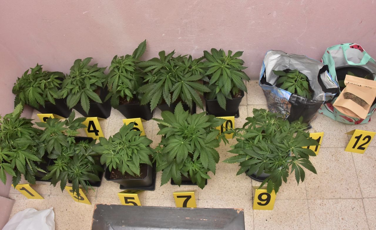 Men Sentenced For Growing Cannabis