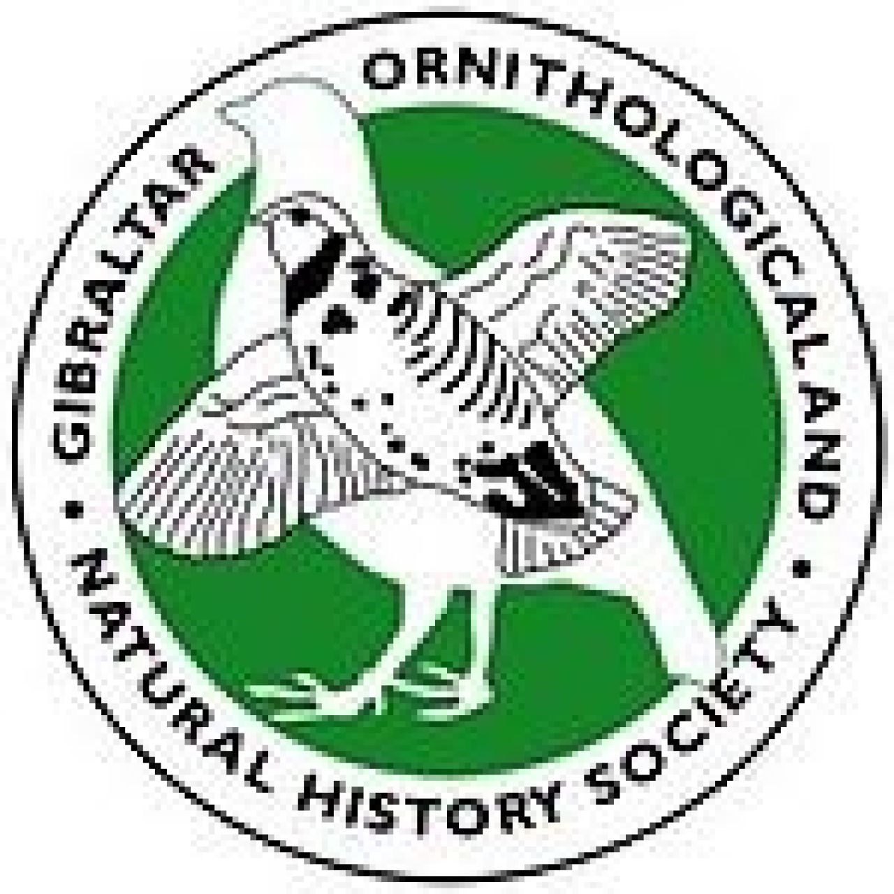 GONHS Calls On Port To Conduct “Full And Public Investigation” Into Bay of Gibraltar Oil Spill
