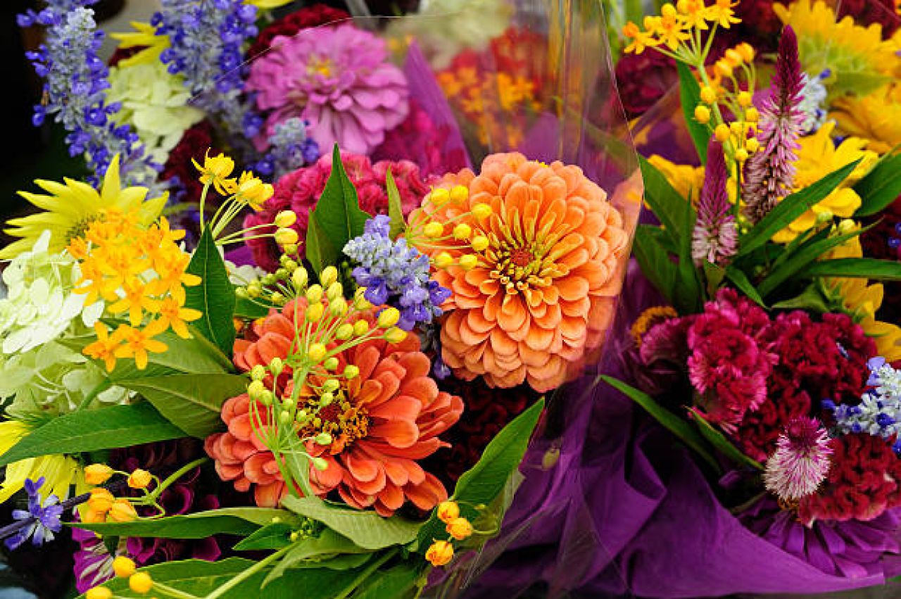 Gibraltar Horticultural Society Announces Annual Spring Flower Show