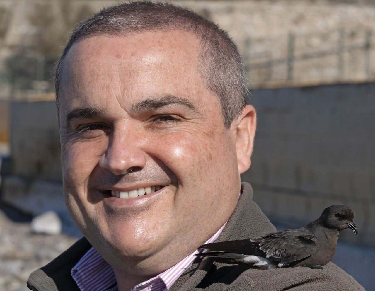 Gibraltar National Museum Lecture: Ocean Wanderers, Near And Far - Seabirds Throughout The World