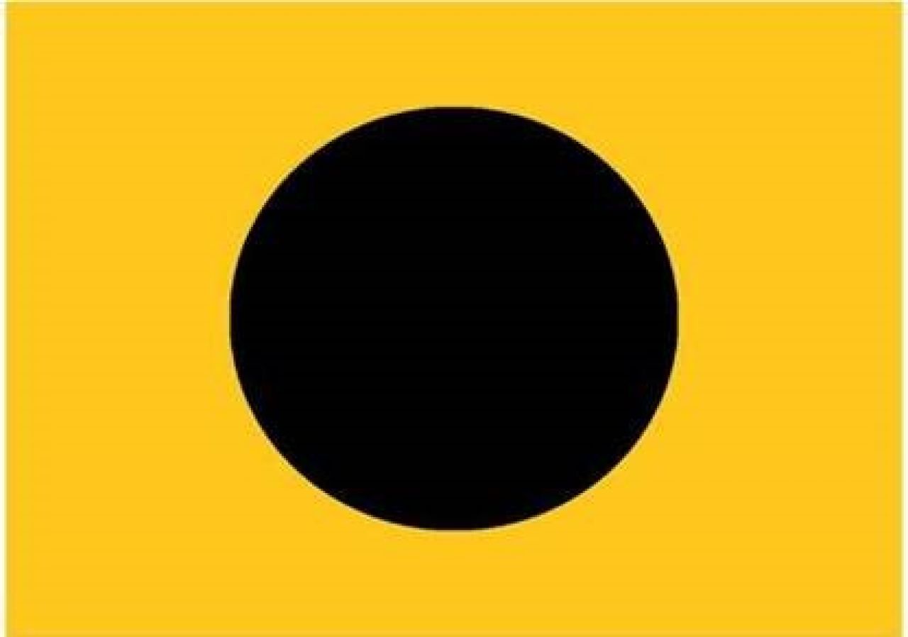 Black Ball Flag To Be Used to Warn Paddleboarders