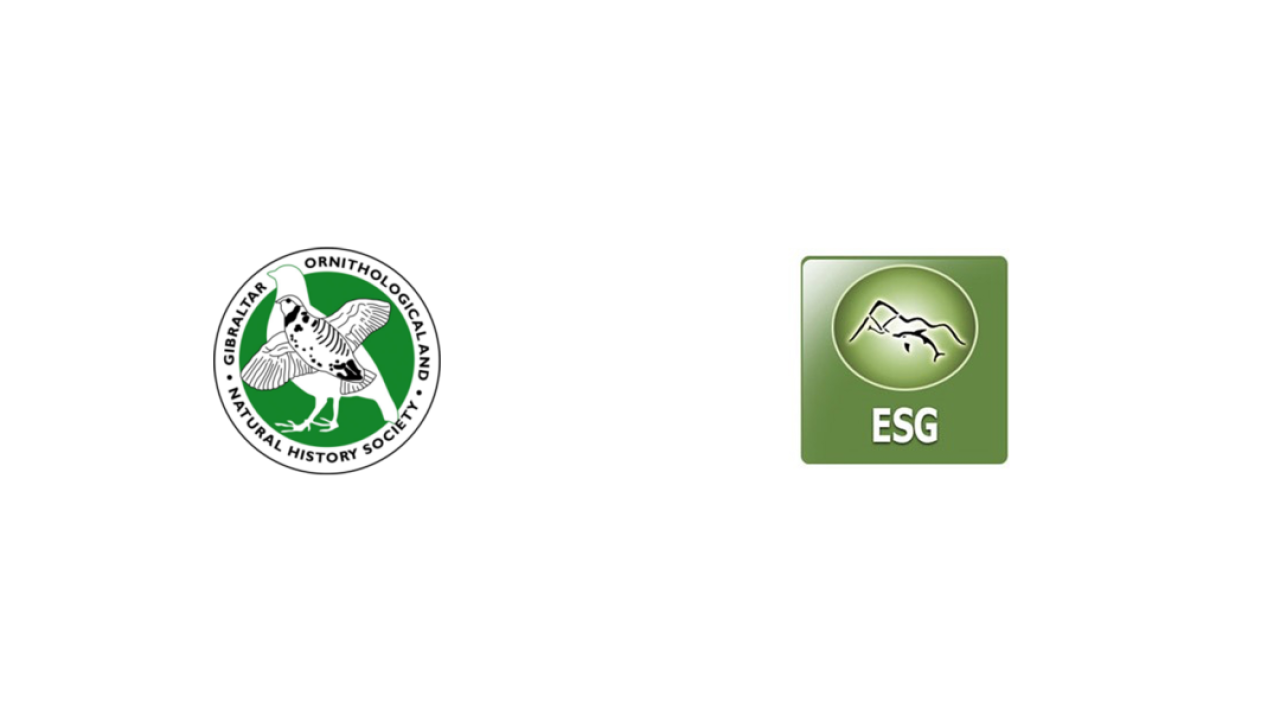 ESG And GONHS Call For Answers On Latest Tuna Tag And Release Competition