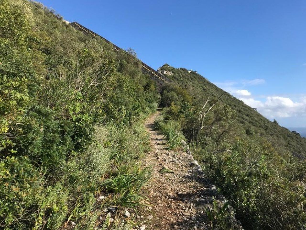 Command Paper For National Trails Published