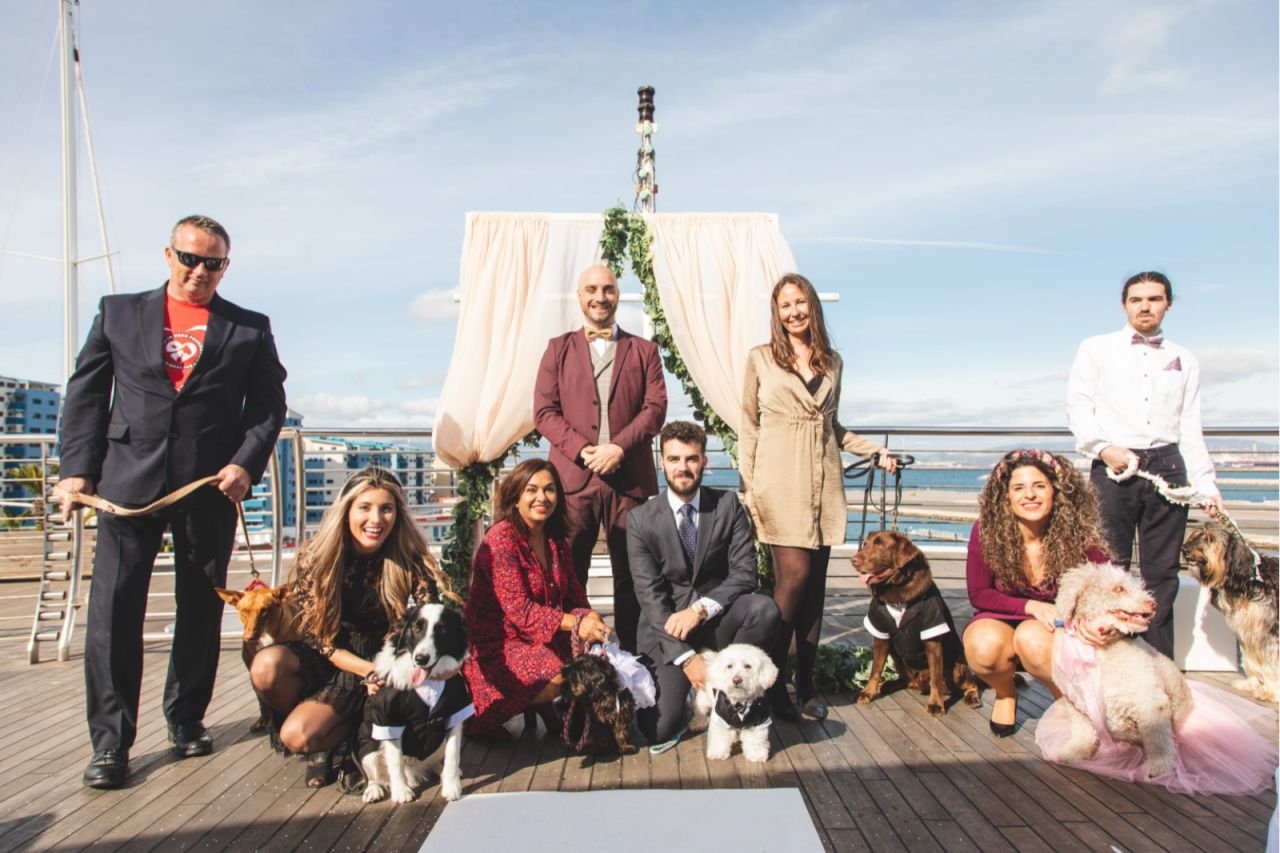 Love, Dogs & Virality