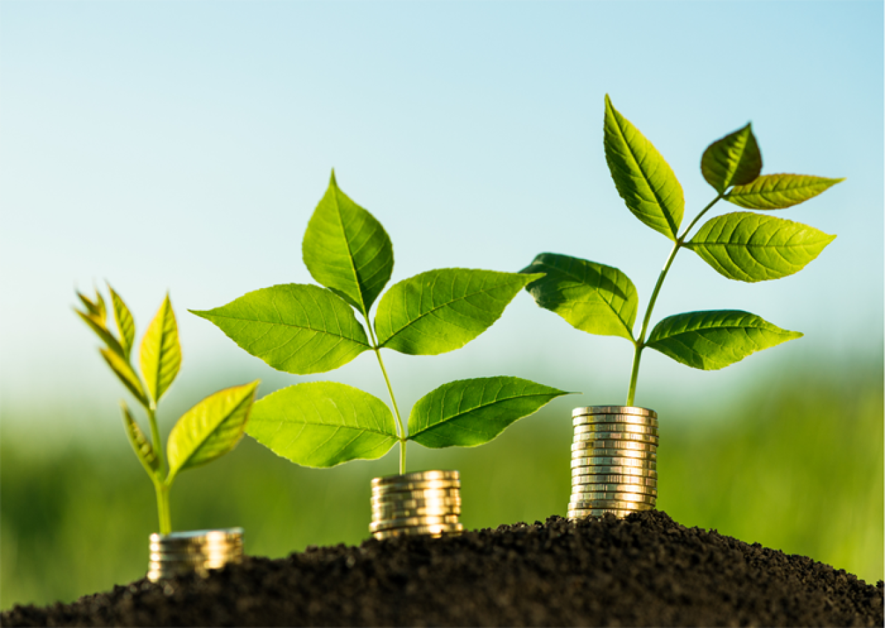 An Update on Private Sector Pensions in Gibraltar